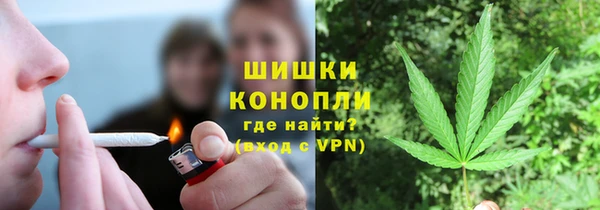 сатива Новочеркасск