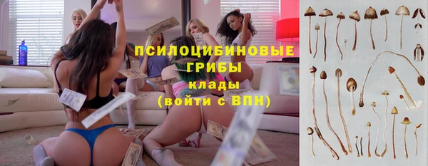 Альфа ПВП Корсаков