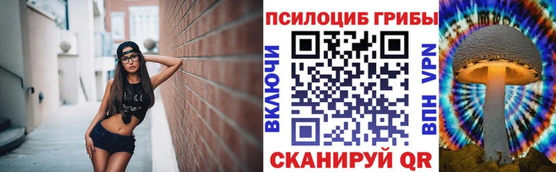 Купить  Поворино  Галлюциногенные грибы Magic Shrooms 